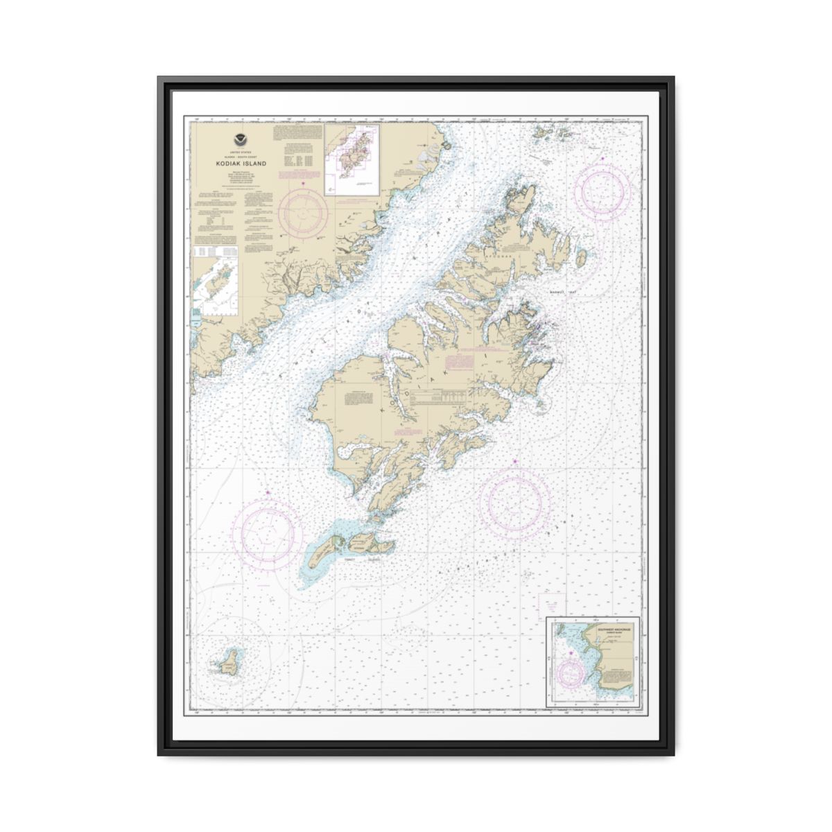 Chart 16580 Kodiak Island;Southwest Anchorage, Chirikof Island - NOAA Nautical Chart Floating Frame Canvas | 24" x 32" | 30" x 40" - Black front