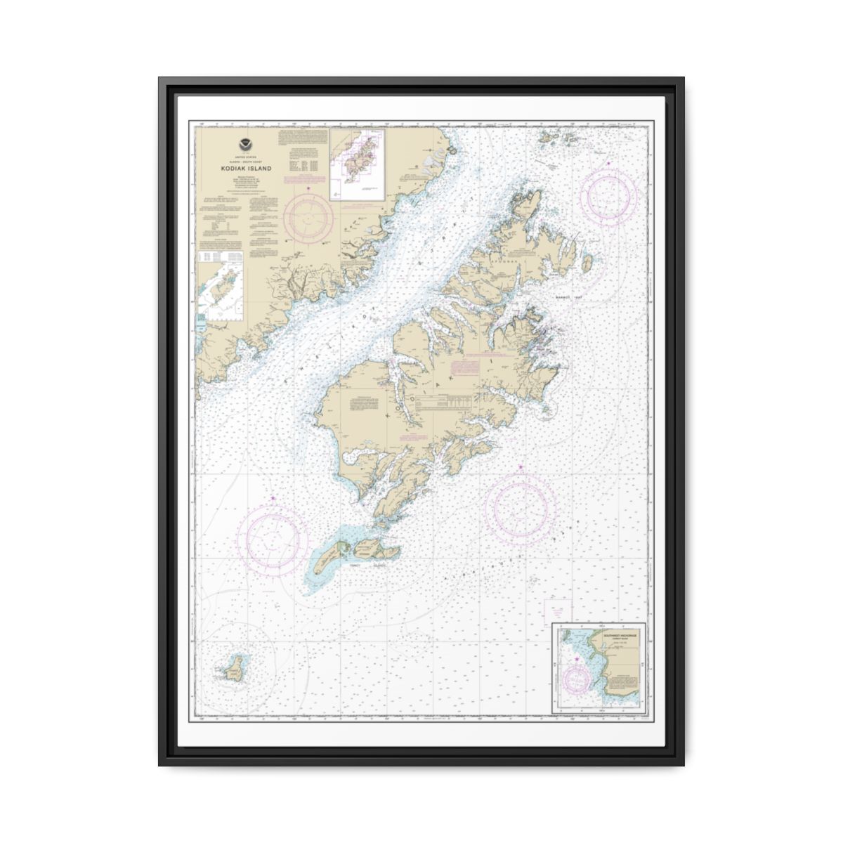Chart 16580 Kodiak Island;Southwest Anchorage, Chirikof Island - NOAA Nautical Chart Floating Frame Canvas | 24" x 32" | 30" x 40" - Black front