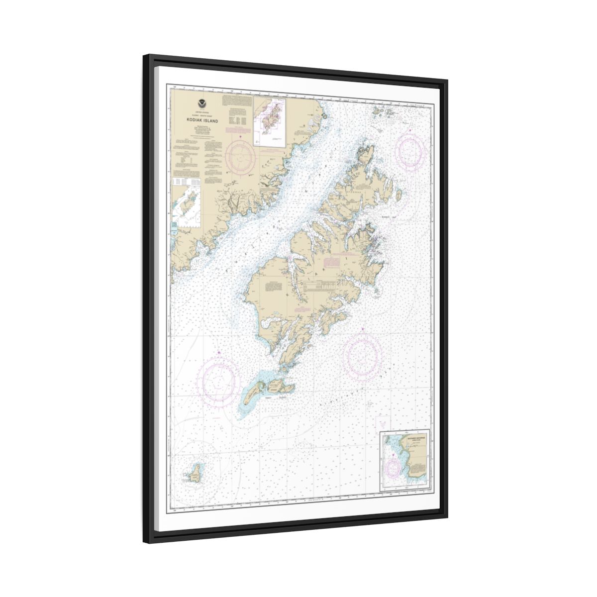Chart 16580 Kodiak Island;Southwest Anchorage, Chirikof Island - NOAA Nautical Chart Floating Frame Canvas | 24" x 32" | 30" x 40" - Black side