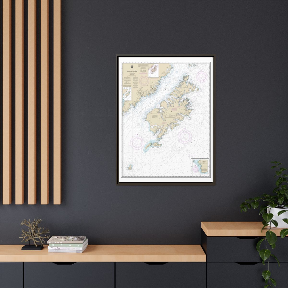 Chart 16580 Kodiak Island;Southwest Anchorage, Chirikof Island - NOAA Nautical Chart Floating Frame Canvas | 24" x 32" | 30" x 40" - Espresso context-2