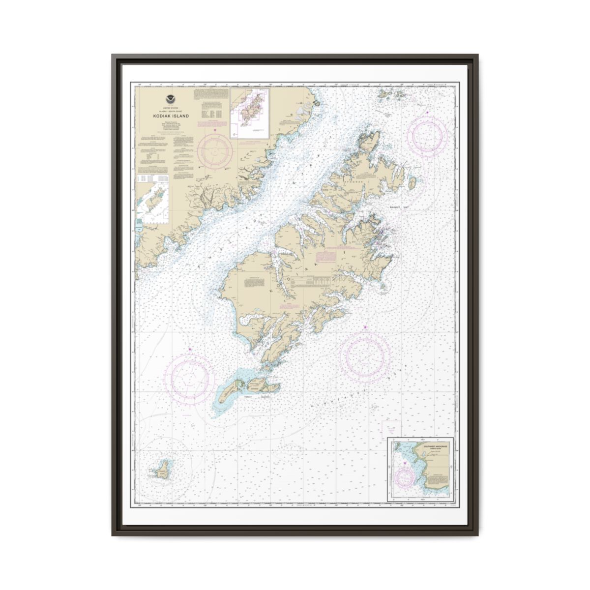 Chart 16580 Kodiak Island;Southwest Anchorage, Chirikof Island - NOAA Nautical Chart Floating Frame Canvas | 24" x 32" | 30" x 40" - Espresso front