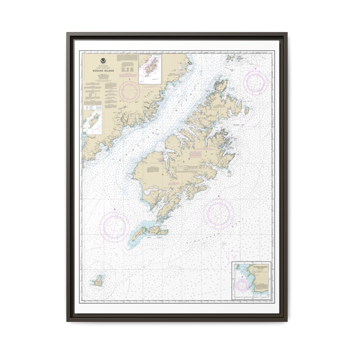 Chart 16580 Kodiak Island;Southwest Anchorage, Chirikof Island - NOAA Nautical Chart Floating Frame Canvas | 24" x 32" | 30" x 40" - Espresso front
