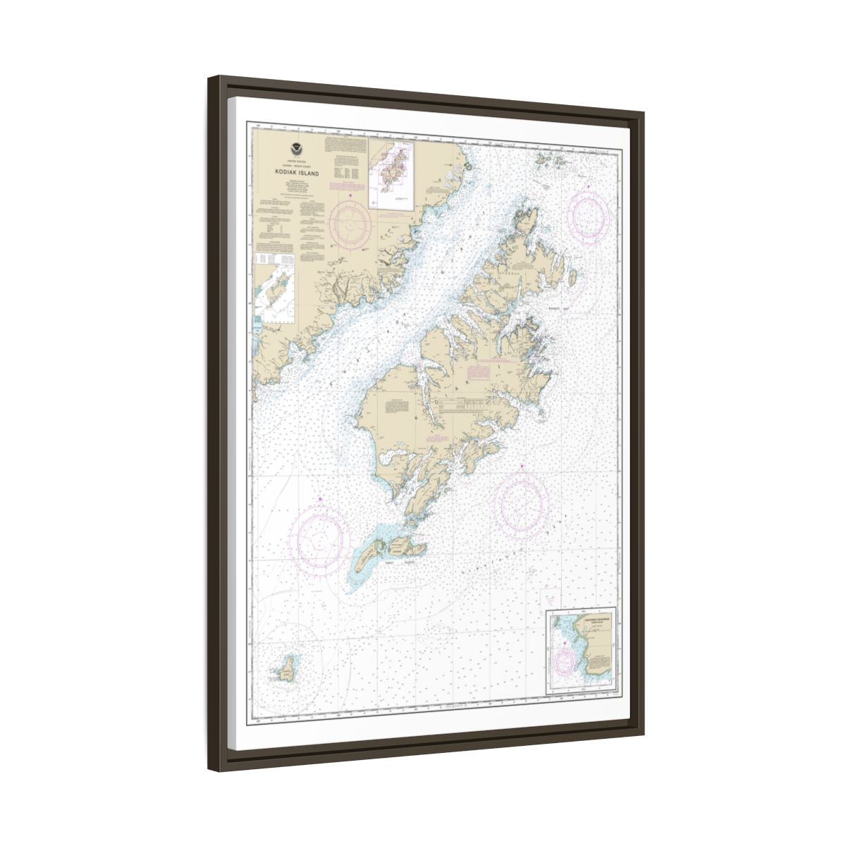 Chart 16580 Kodiak Island;Southwest Anchorage, Chirikof Island - NOAA Nautical Chart Floating Frame Canvas | 24" x 32" | 30" x 40" - Espresso side