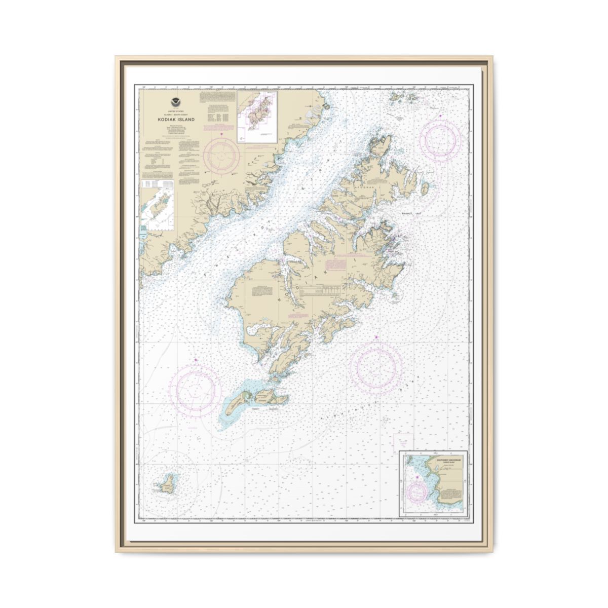 Chart 16580 Kodiak Island;Southwest Anchorage, Chirikof Island - NOAA Nautical Chart Floating Frame Canvas | 24" x 32" | 30" x 40" - Natural front