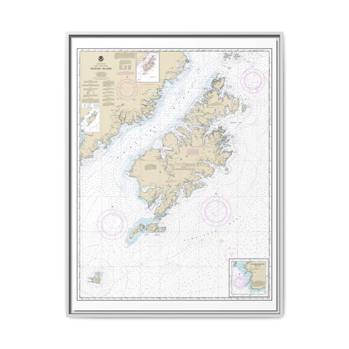 Chart 16580 Kodiak Island;Southwest Anchorage, Chirikof Island - NOAA Nautical Chart Floating Frame Canvas | 24" x 32" | 30" x 40" - White front