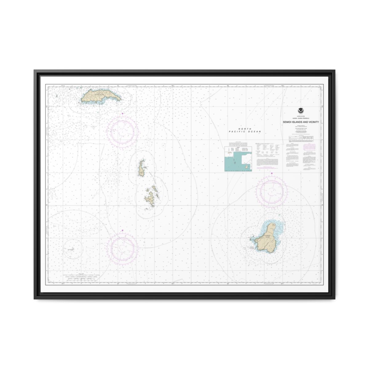 Chart 16587 Semidi Islands and Vicinity - NOAA Nautical Chart Floating Frame Canvas | 32" x 24" | 40" x 30" - Black front