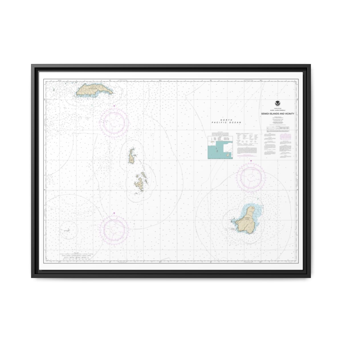 Chart 16587 Semidi Islands and Vicinity - NOAA Nautical Chart Floating Frame Canvas | 32" x 24" | 40" x 30" - Black front