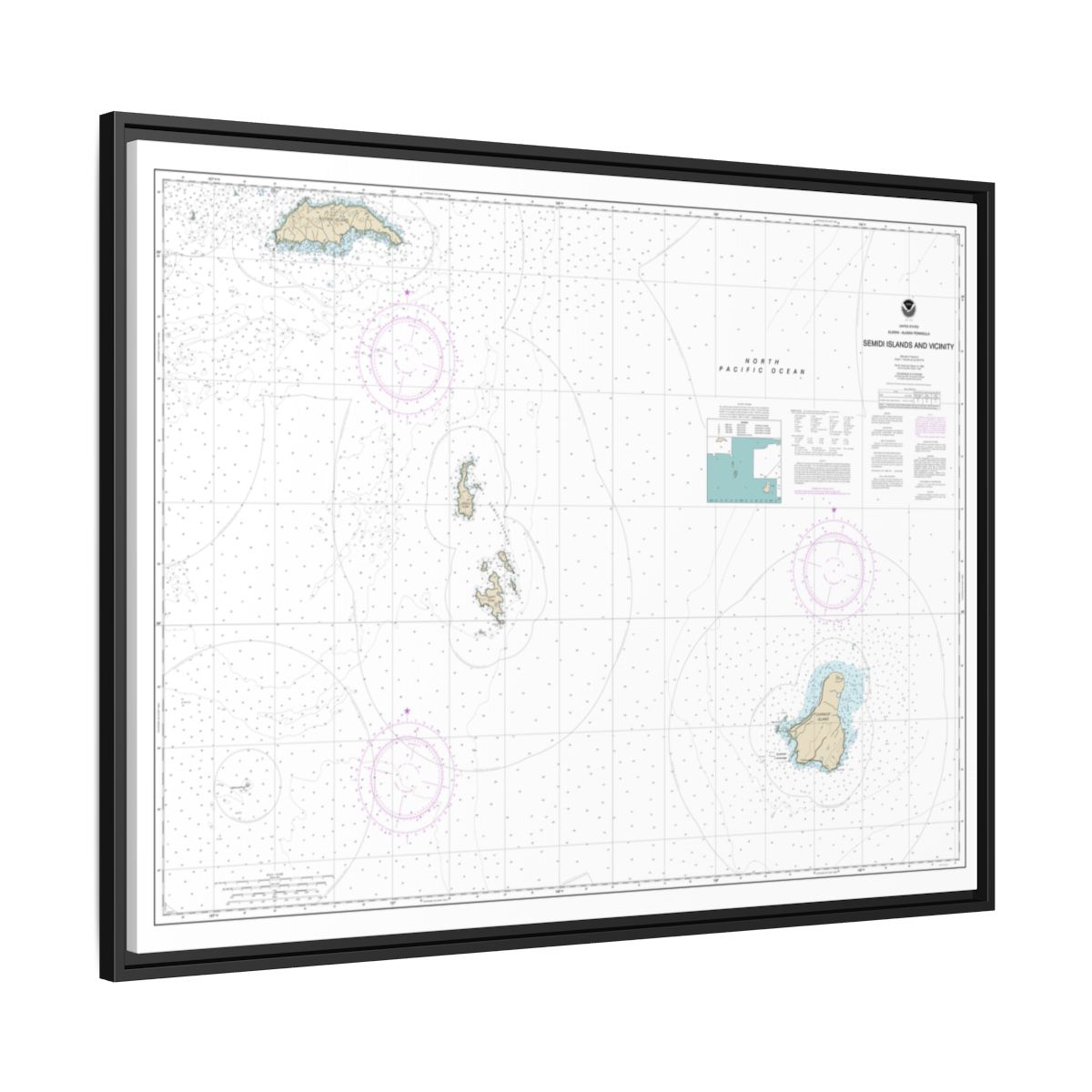 Chart 16587 Semidi Islands and Vicinity - NOAA Nautical Chart Floating Frame Canvas | 32" x 24" | 40" x 30" - Black side