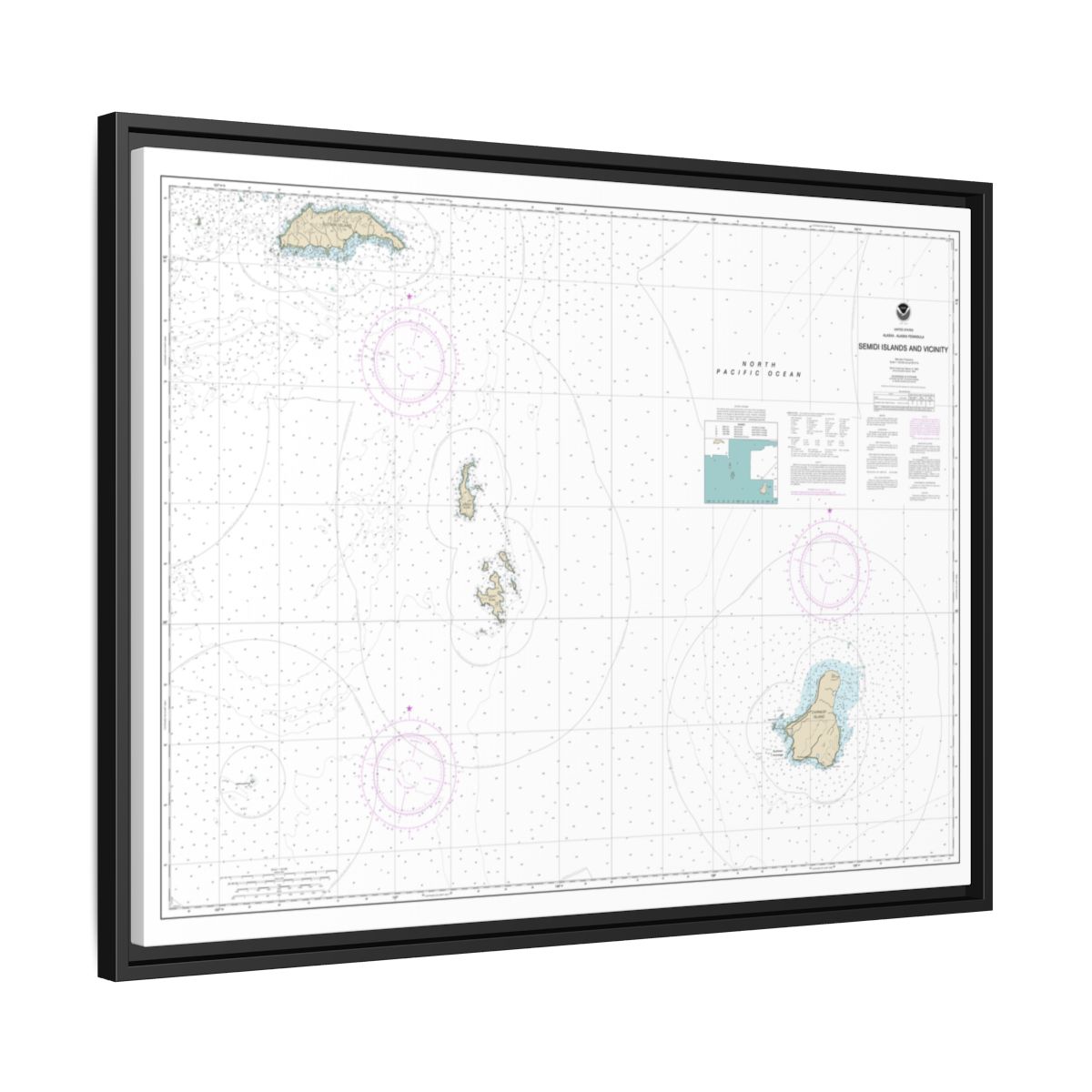 Chart 16587 Semidi Islands and Vicinity - NOAA Nautical Chart Floating Frame Canvas | 32" x 24" | 40" x 30" - Black side