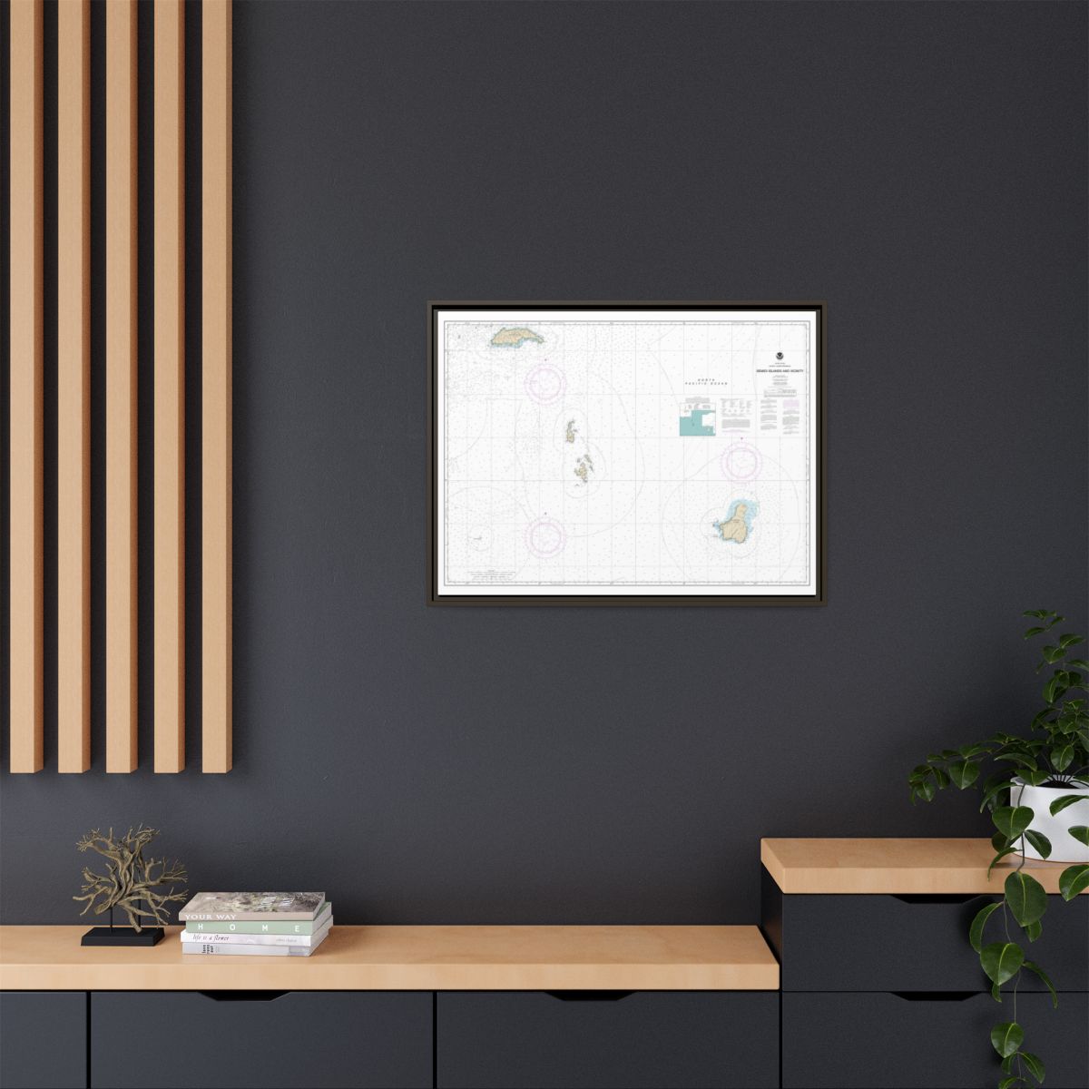 Chart 16587 Semidi Islands and Vicinity - NOAA Nautical Chart Floating Frame Canvas | 32" x 24" | 40" x 30" - Espresso context-2