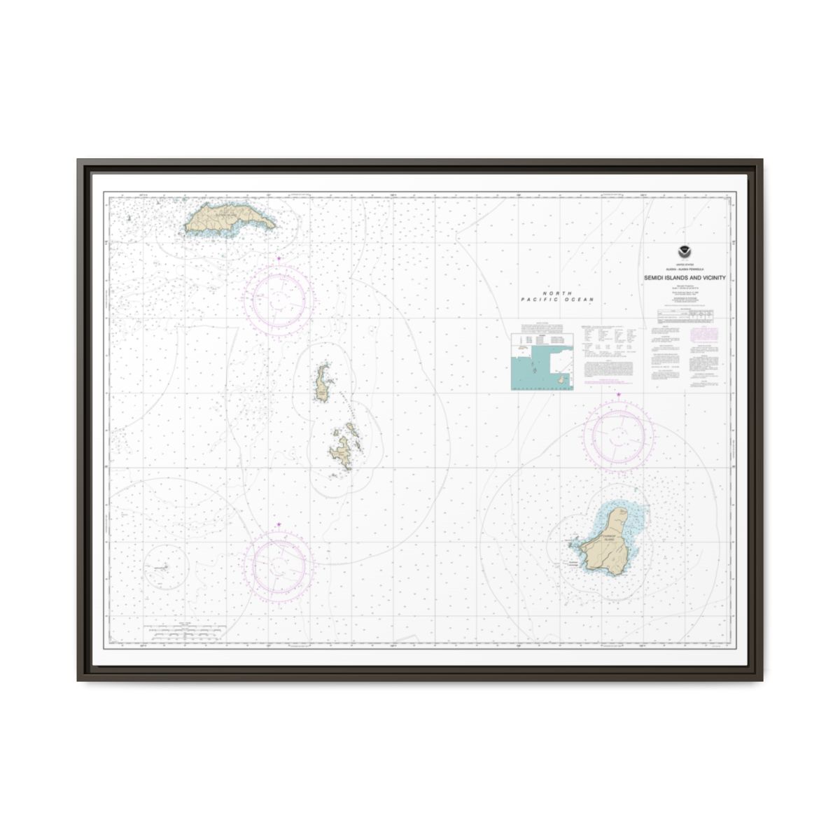 Chart 16587 Semidi Islands and Vicinity - NOAA Nautical Chart Floating Frame Canvas | 32" x 24" | 40" x 30" - Espresso front