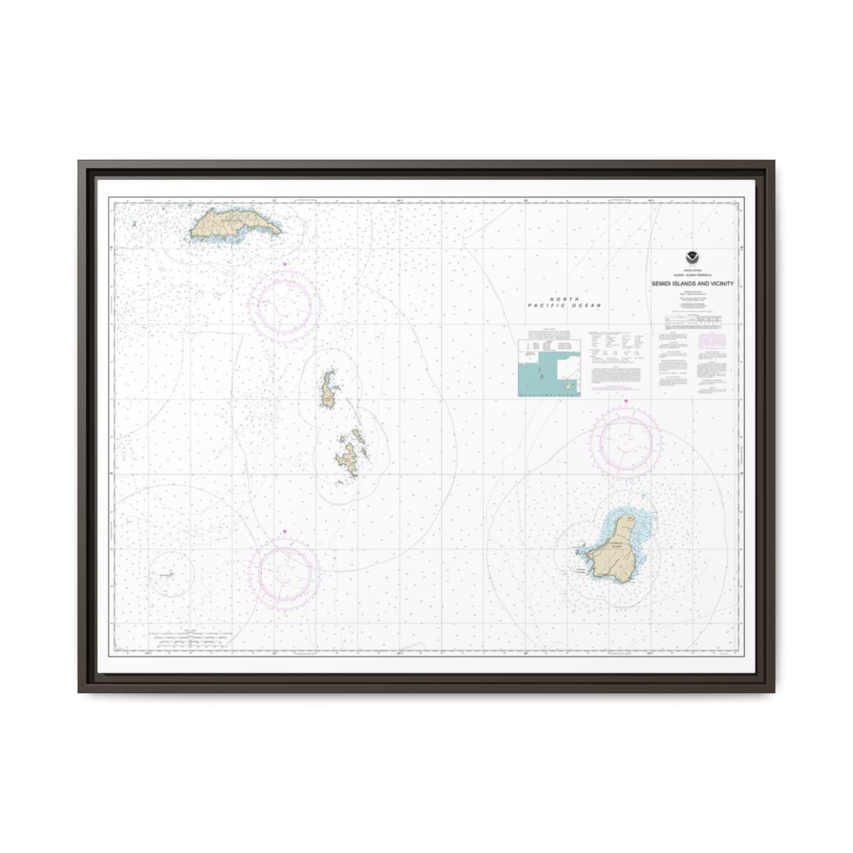 Chart 16587 Semidi Islands and Vicinity - NOAA Nautical Chart Floating Frame Canvas | 32" x 24" | 40" x 30" - Espresso front