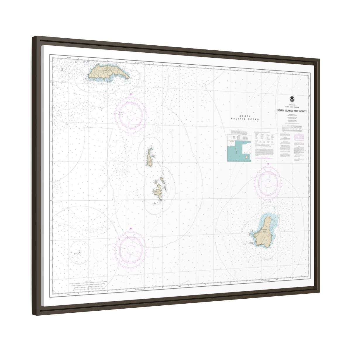 Chart 16587 Semidi Islands and Vicinity - NOAA Nautical Chart Floating Frame Canvas | 32" x 24" | 40" x 30" - Espresso side