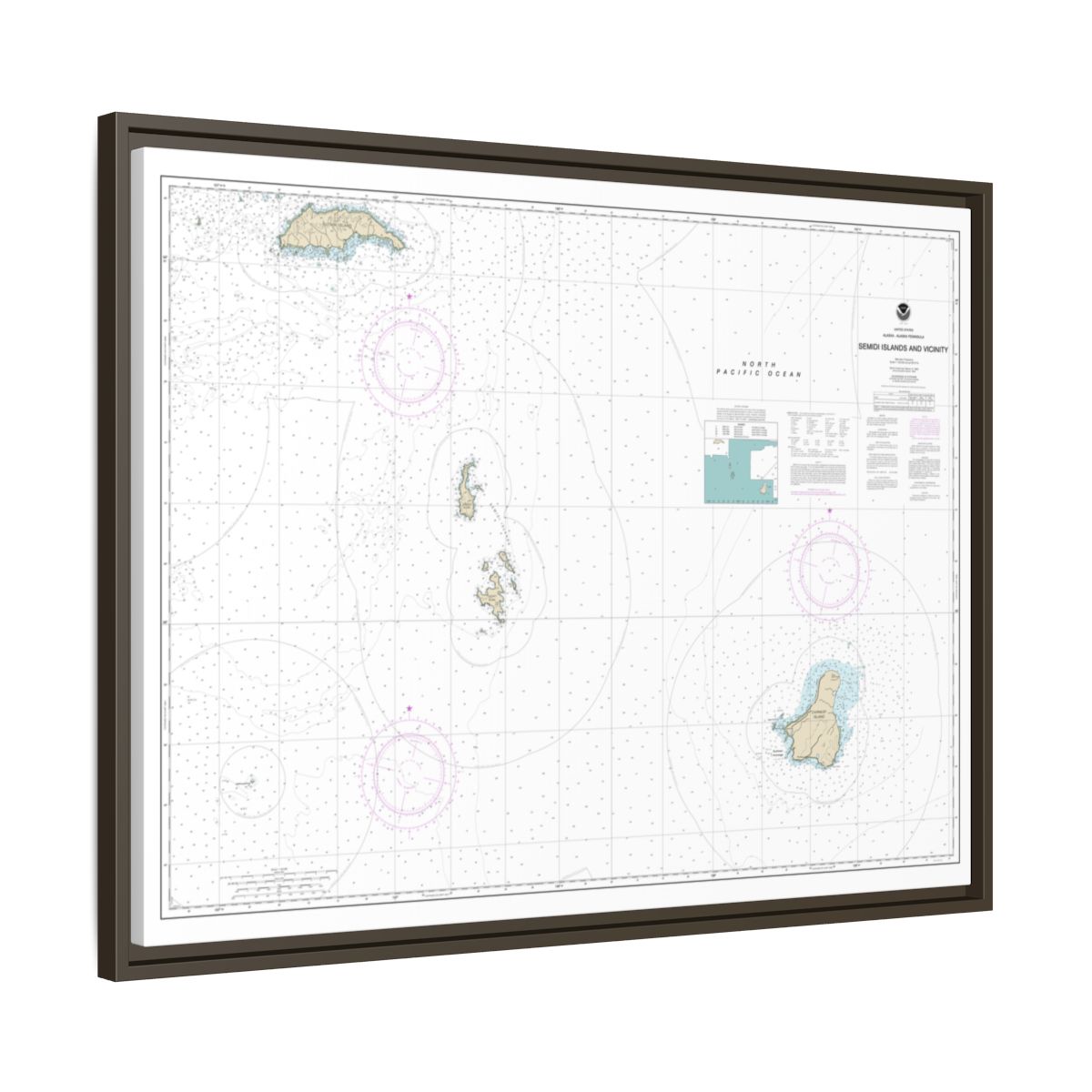 Chart 16587 Semidi Islands and Vicinity - NOAA Nautical Chart Floating Frame Canvas | 32" x 24" | 40" x 30" - Espresso side