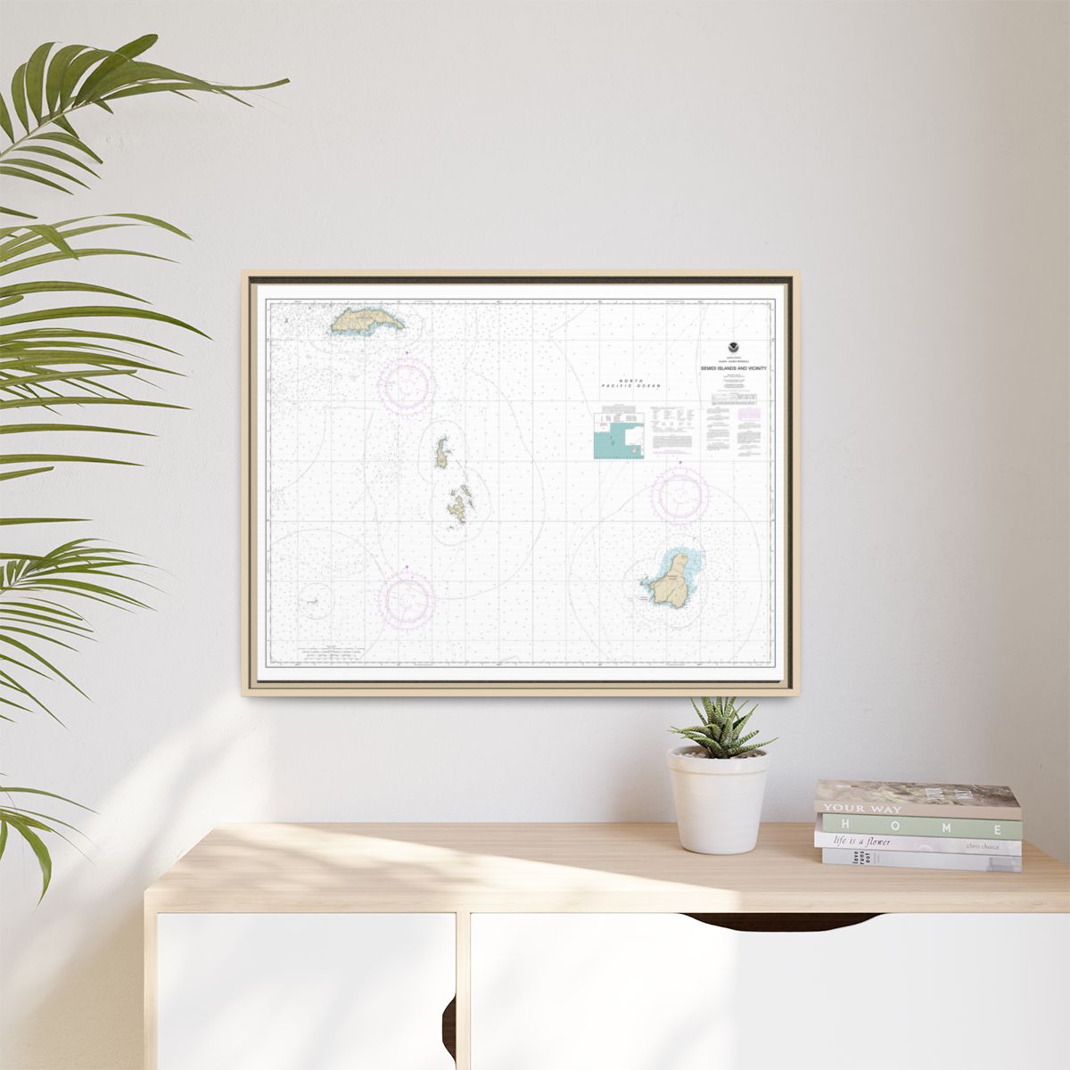 Chart 16587 Semidi Islands and Vicinity - NOAA Nautical Chart Floating Frame Canvas | 32" x 24" | 40" x 30" - Natural context-1