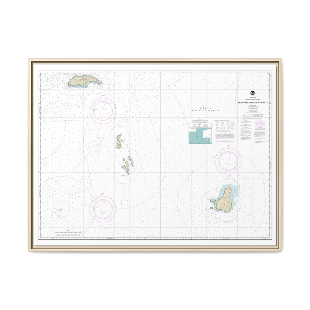 Chart 16587 Semidi Islands and Vicinity - NOAA Nautical Chart Floating Frame Canvas | 32" x 24" | 40" x 30" - Natural front