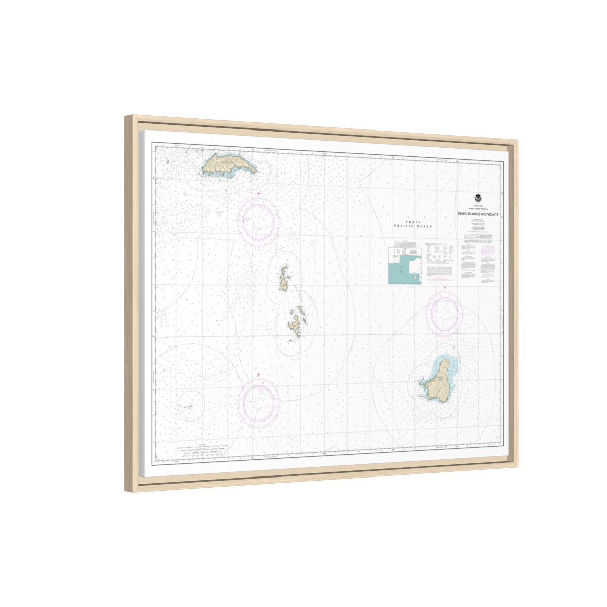 Chart 16587 Semidi Islands and Vicinity - NOAA Nautical Chart Floating Frame Canvas | 32" x 24" | 40" x 30" - Natural side