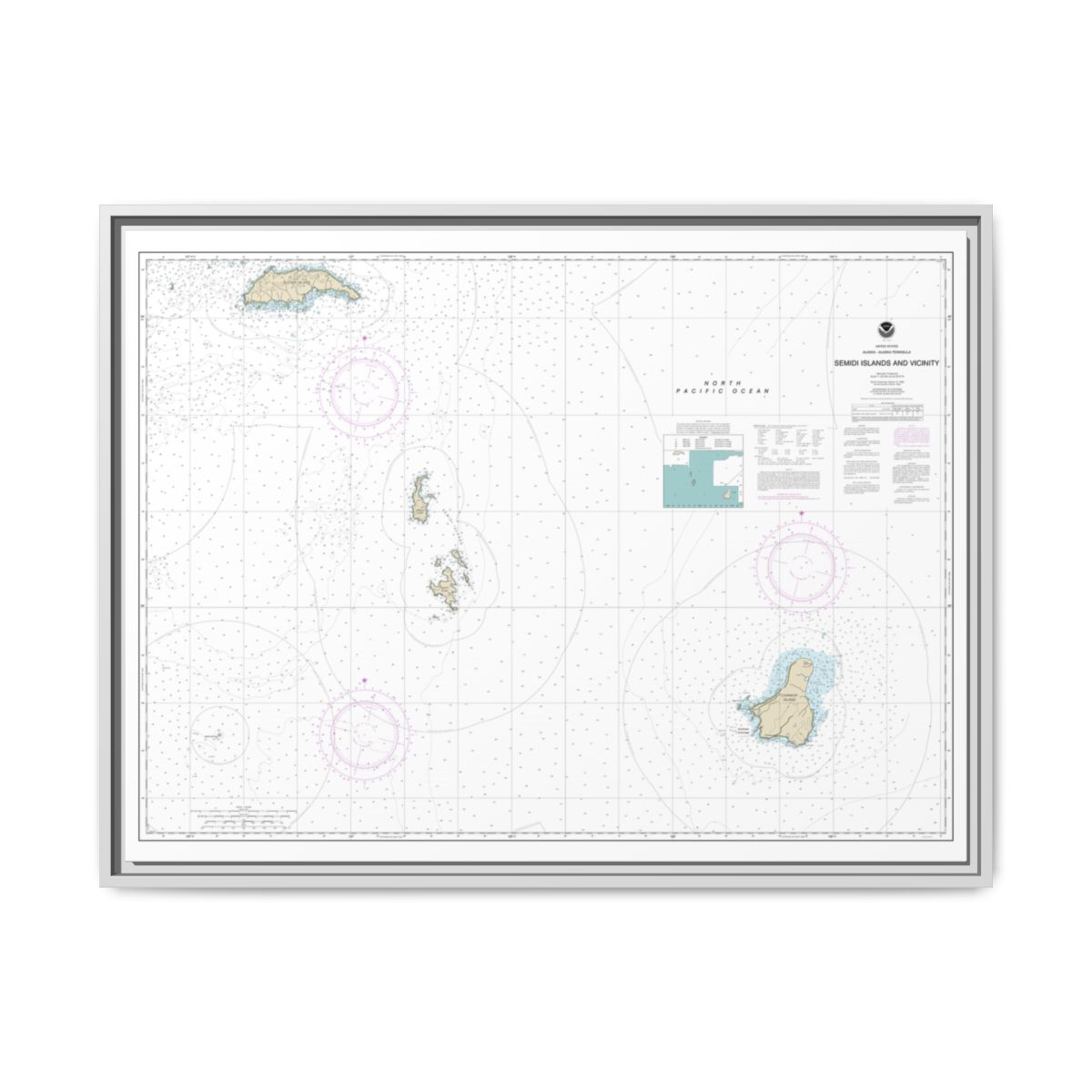 Chart 16587 Semidi Islands and Vicinity - NOAA Nautical Chart Floating Frame Canvas | 32" x 24" | 40" x 30" - White front