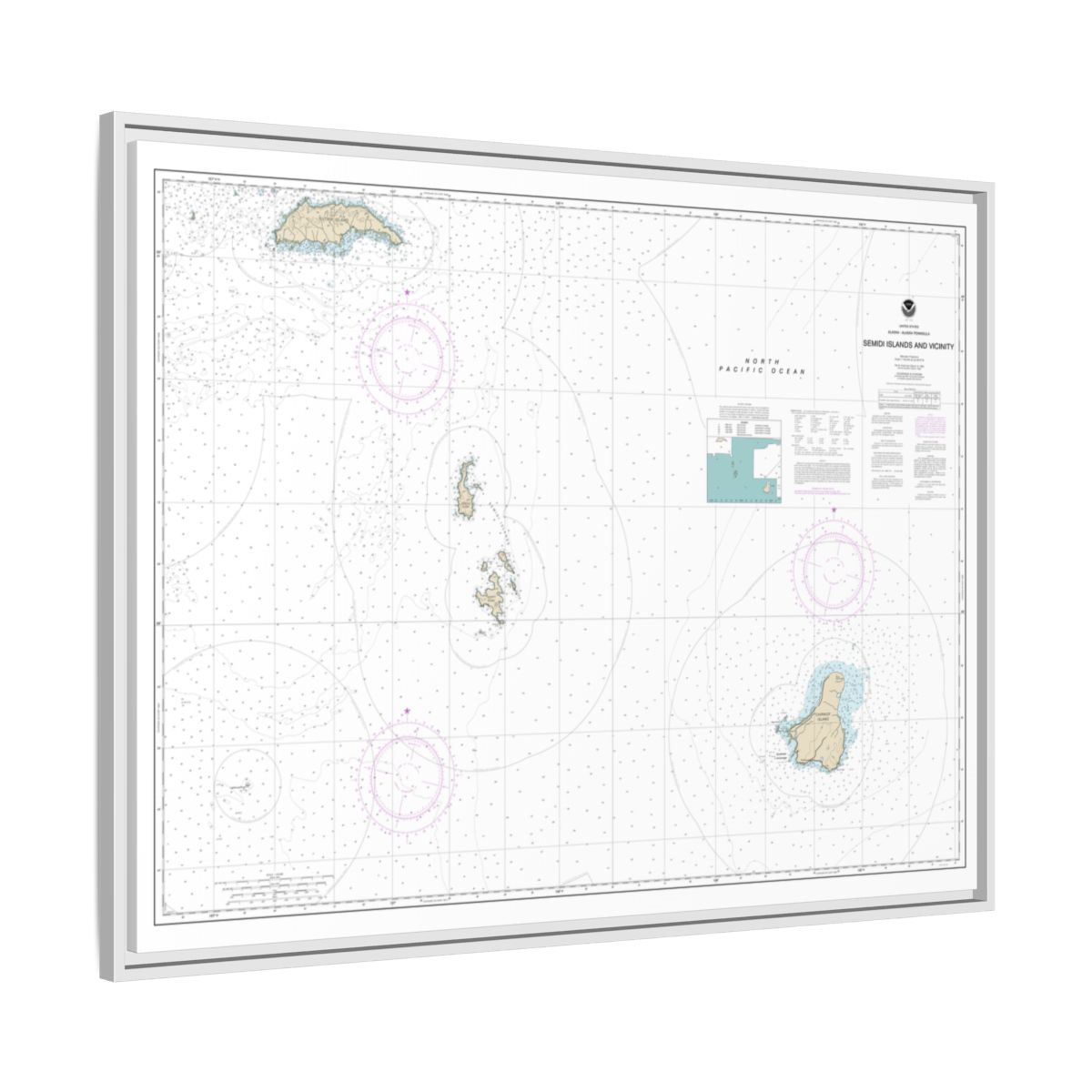 Chart 16587 Semidi Islands and Vicinity - NOAA Nautical Chart Floating Frame Canvas | 32" x 24" | 40" x 30" - White side