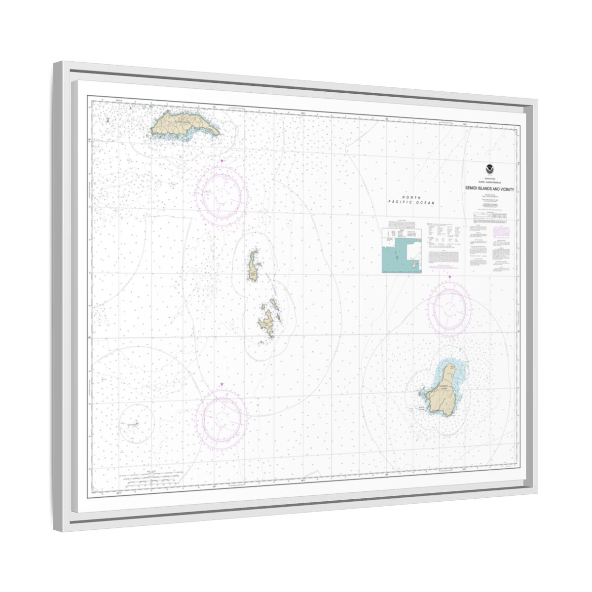Chart 16587 Semidi Islands and Vicinity - NOAA Nautical Chart Floating Frame Canvas | 32" x 24" | 40" x 30" - White side