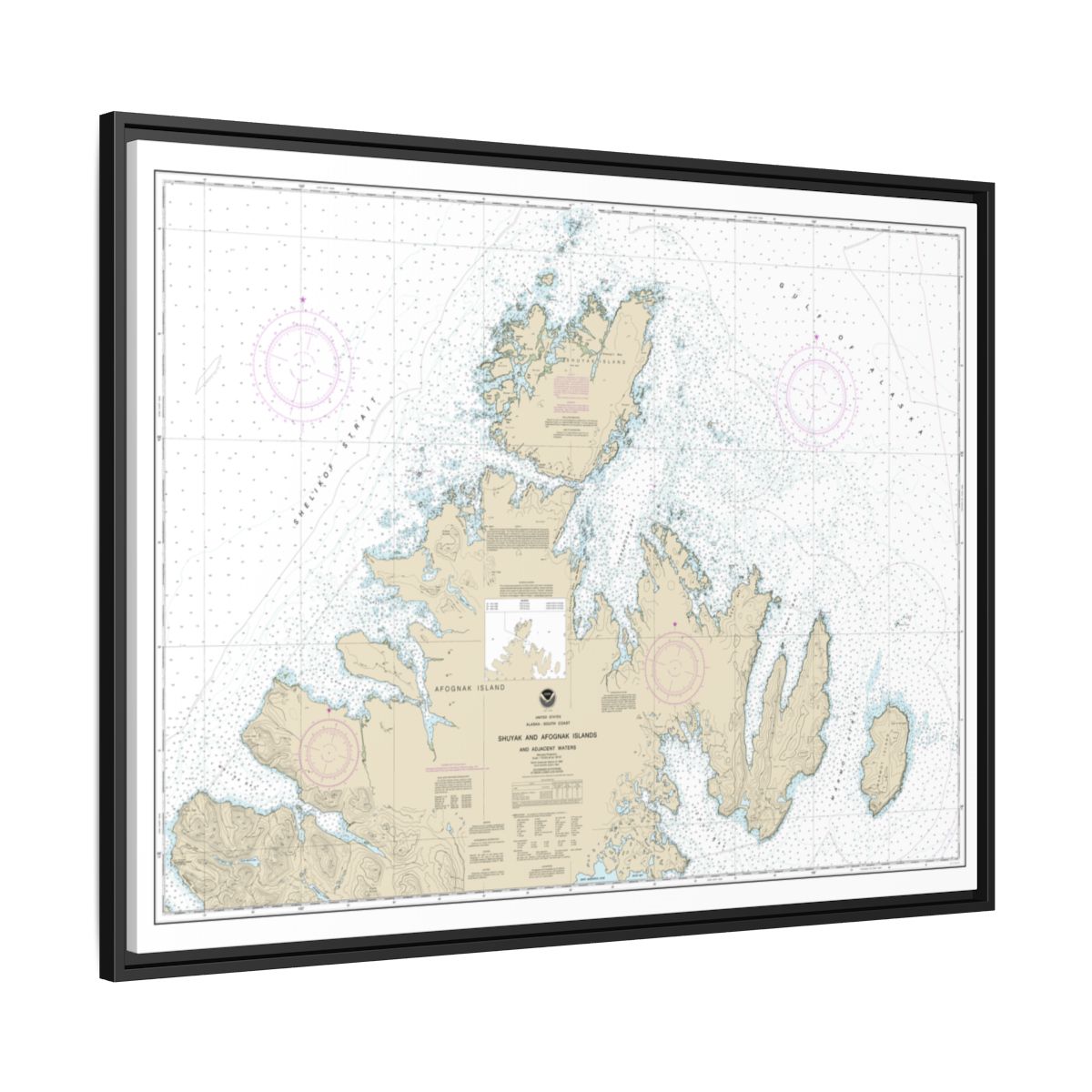 Chart 16604 Shuyak and Afagnak Islands and adjacent waters - NOAA Nautical Chart Floating Frame Canvas | 32" x 24" | 40" x 30" - Black side