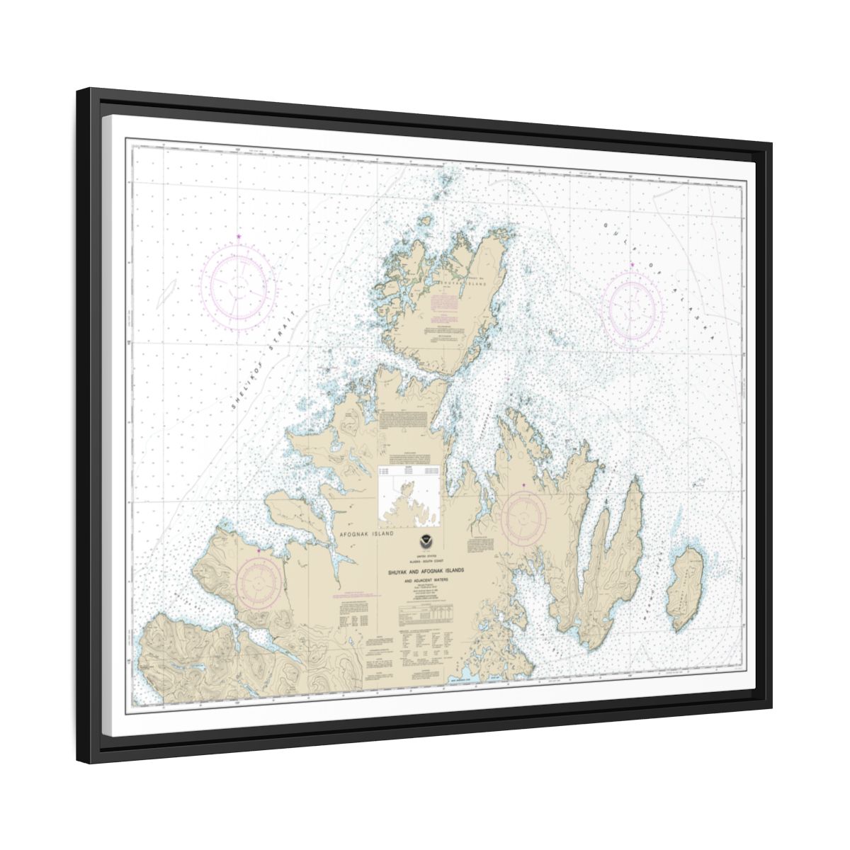 Chart 16604 Shuyak and Afagnak Islands and adjacent waters - NOAA Nautical Chart Floating Frame Canvas | 32" x 24" | 40" x 30" - Black side