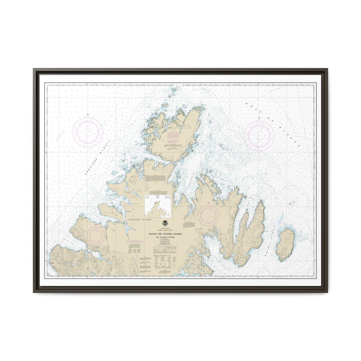 Chart 16604 Shuyak and Afagnak Islands and adjacent waters - NOAA Nautical Chart Floating Frame Canvas | 32" x 24" | 40" x 30" - Espresso front