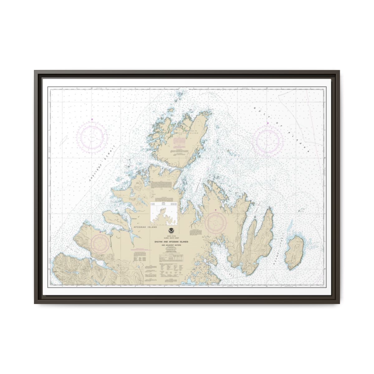 Chart 16604 Shuyak and Afagnak Islands and adjacent waters - NOAA Nautical Chart Floating Frame Canvas | 32" x 24" | 40" x 30" - Espresso front