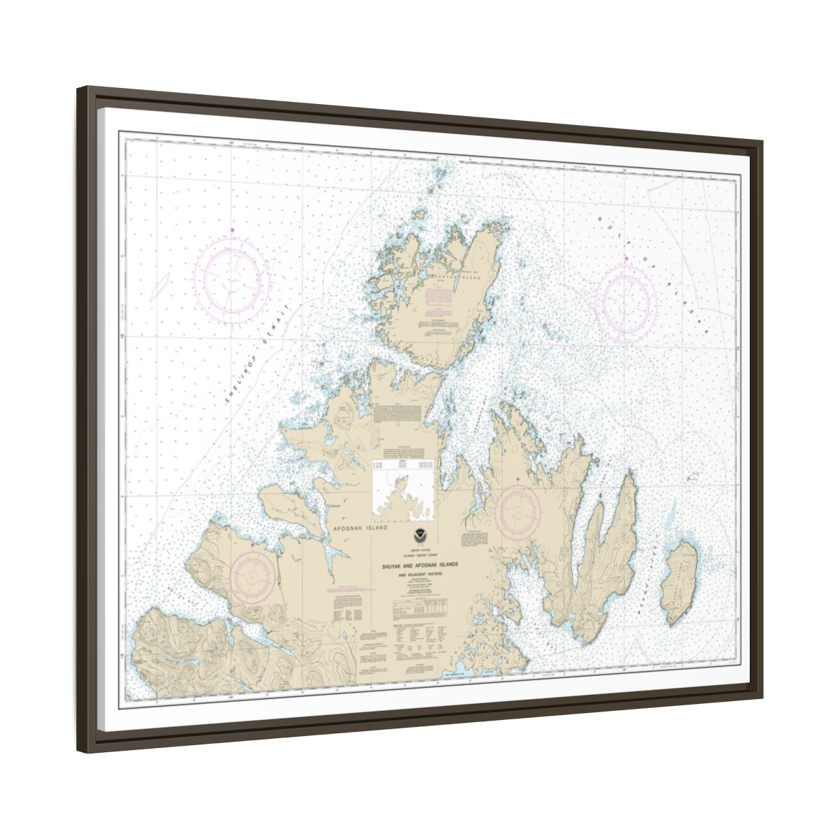 Chart 16604 Shuyak and Afagnak Islands and adjacent waters - NOAA Nautical Chart Floating Frame Canvas | 32" x 24" | 40" x 30" - Espresso side