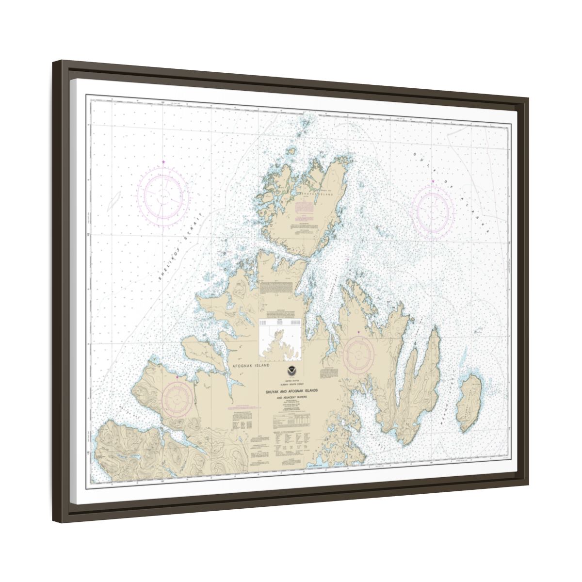 Chart 16604 Shuyak and Afagnak Islands and adjacent waters - NOAA Nautical Chart Floating Frame Canvas | 32" x 24" | 40" x 30" - Espresso side