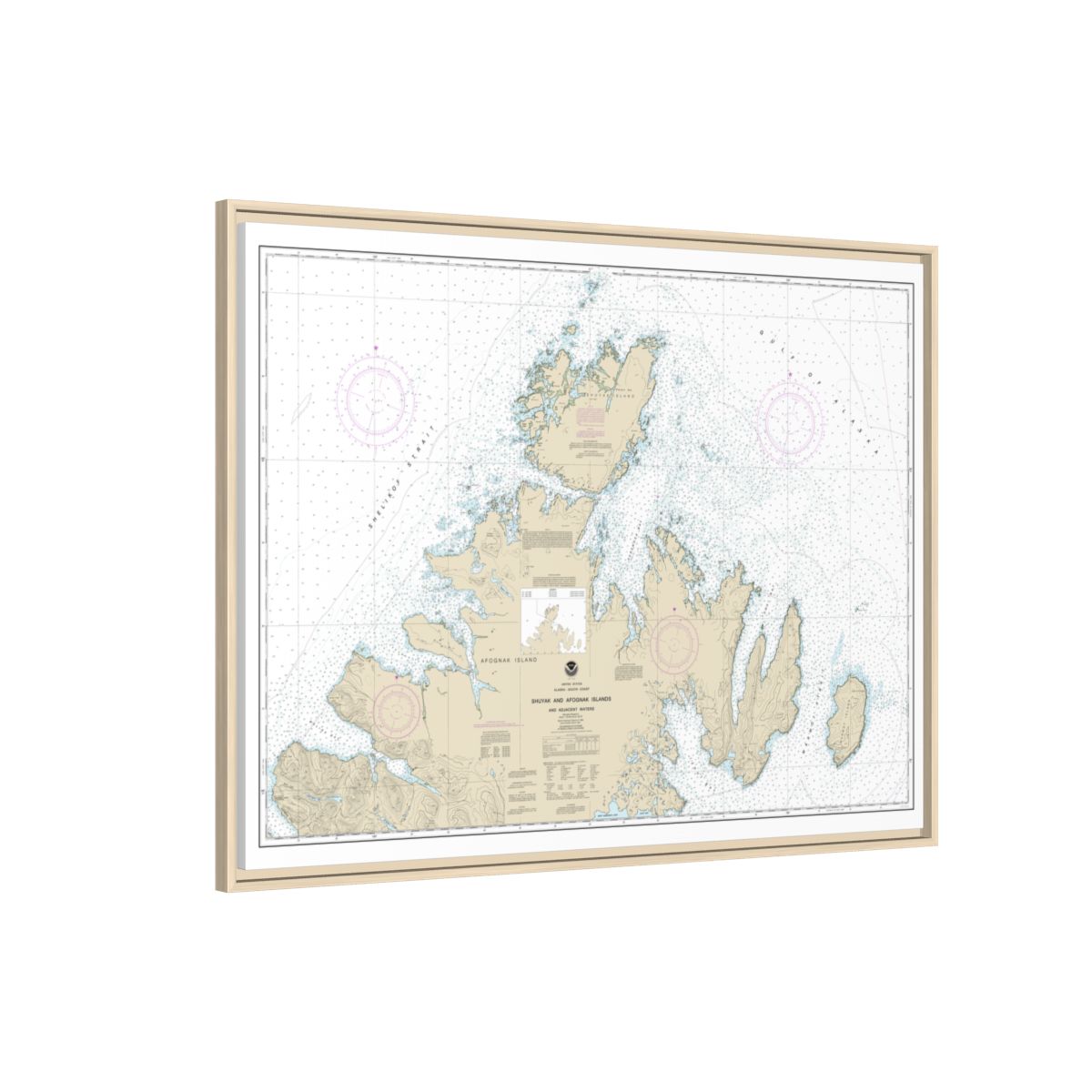 Chart 16604 Shuyak and Afagnak Islands and adjacent waters - NOAA Nautical Chart Floating Frame Canvas | 32" x 24" | 40" x 30" - Natural side