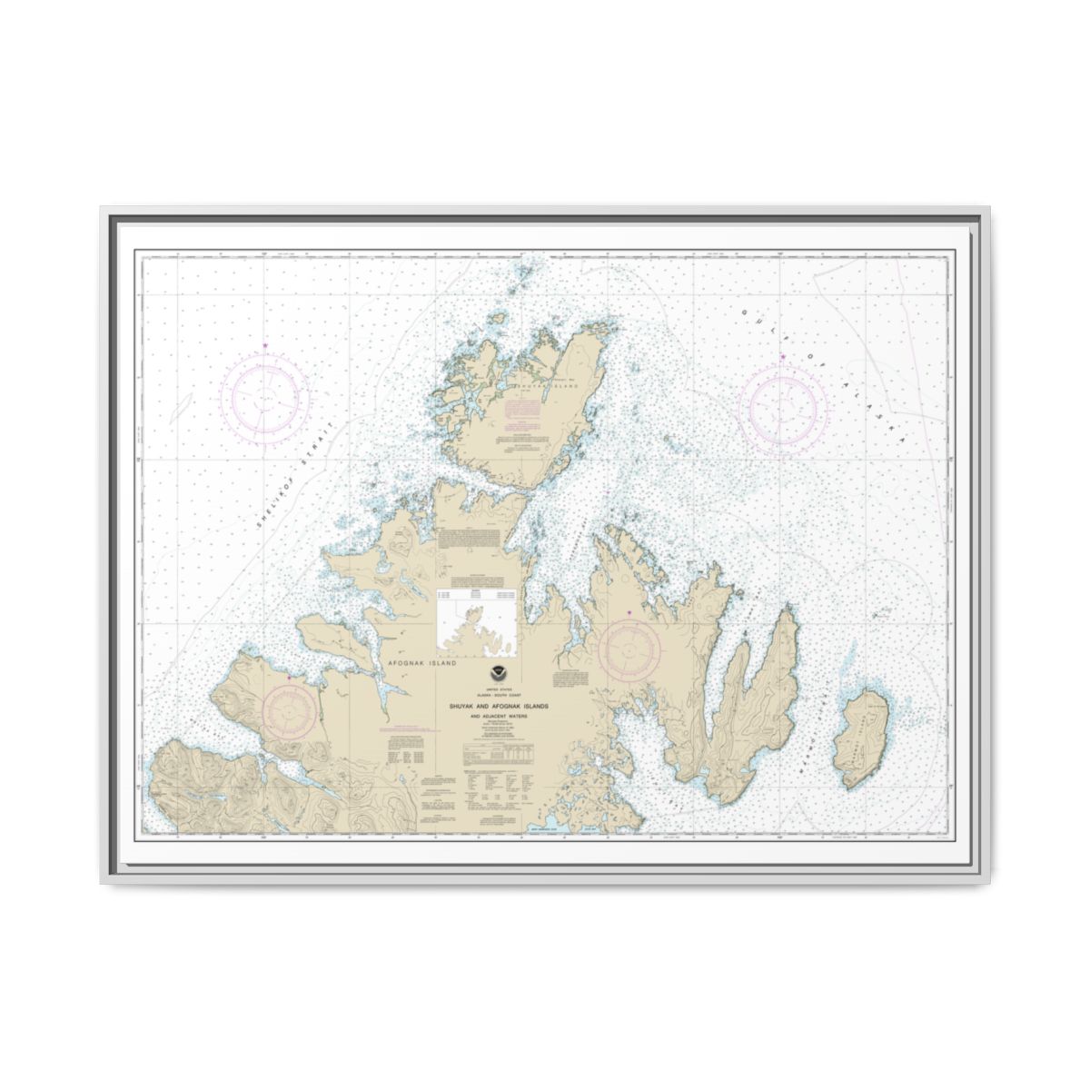 Chart 16604 Shuyak and Afagnak Islands and adjacent waters - NOAA Nautical Chart Floating Frame Canvas | 32" x 24" | 40" x 30" - White front