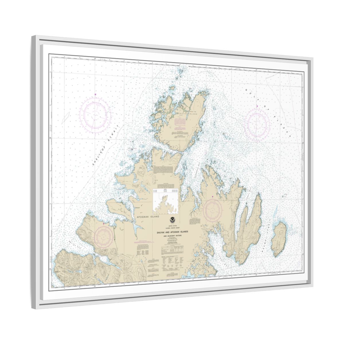 Chart 16604 Shuyak and Afagnak Islands and adjacent waters - NOAA Nautical Chart Floating Frame Canvas | 32" x 24" | 40" x 30" - White side