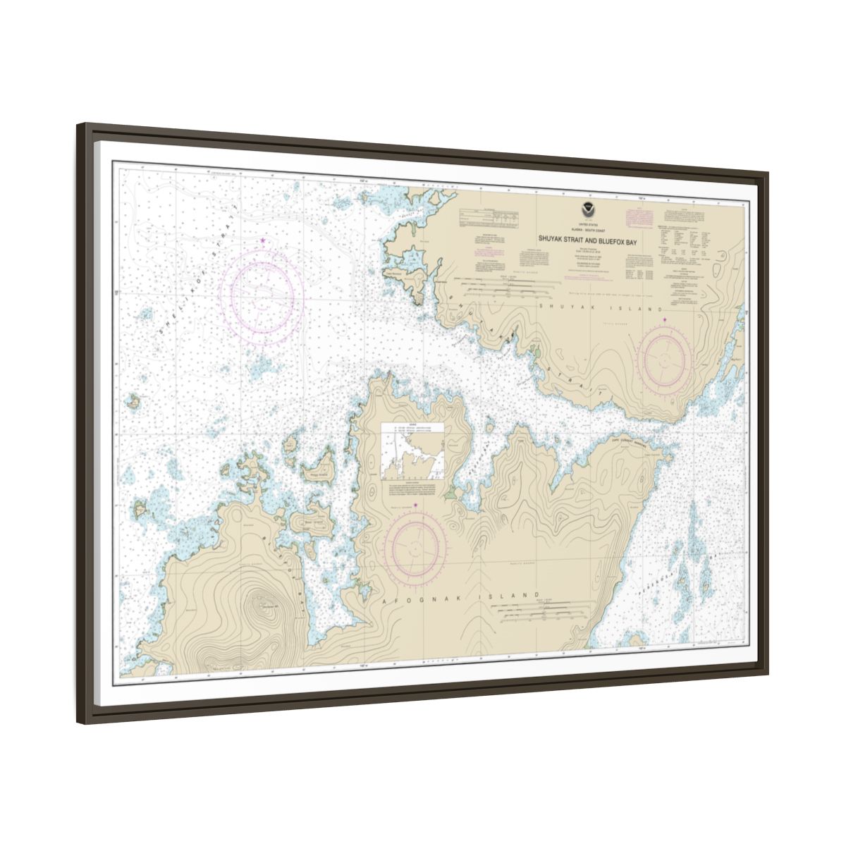Chart 16605 Shuyak Strait and Bluefox Bay - NOAA Nautical Chart Floating Frame Canvas | 30" x 20" | 36" x 24" | 48" x 32" - Espresso side