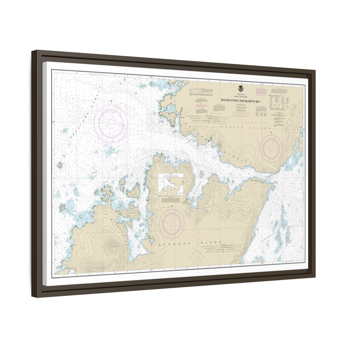 Chart 16605 Shuyak Strait and Bluefox Bay - NOAA Nautical Chart Floating Frame Canvas | 30" x 20" | 36" x 24" | 48" x 32" - Espresso side