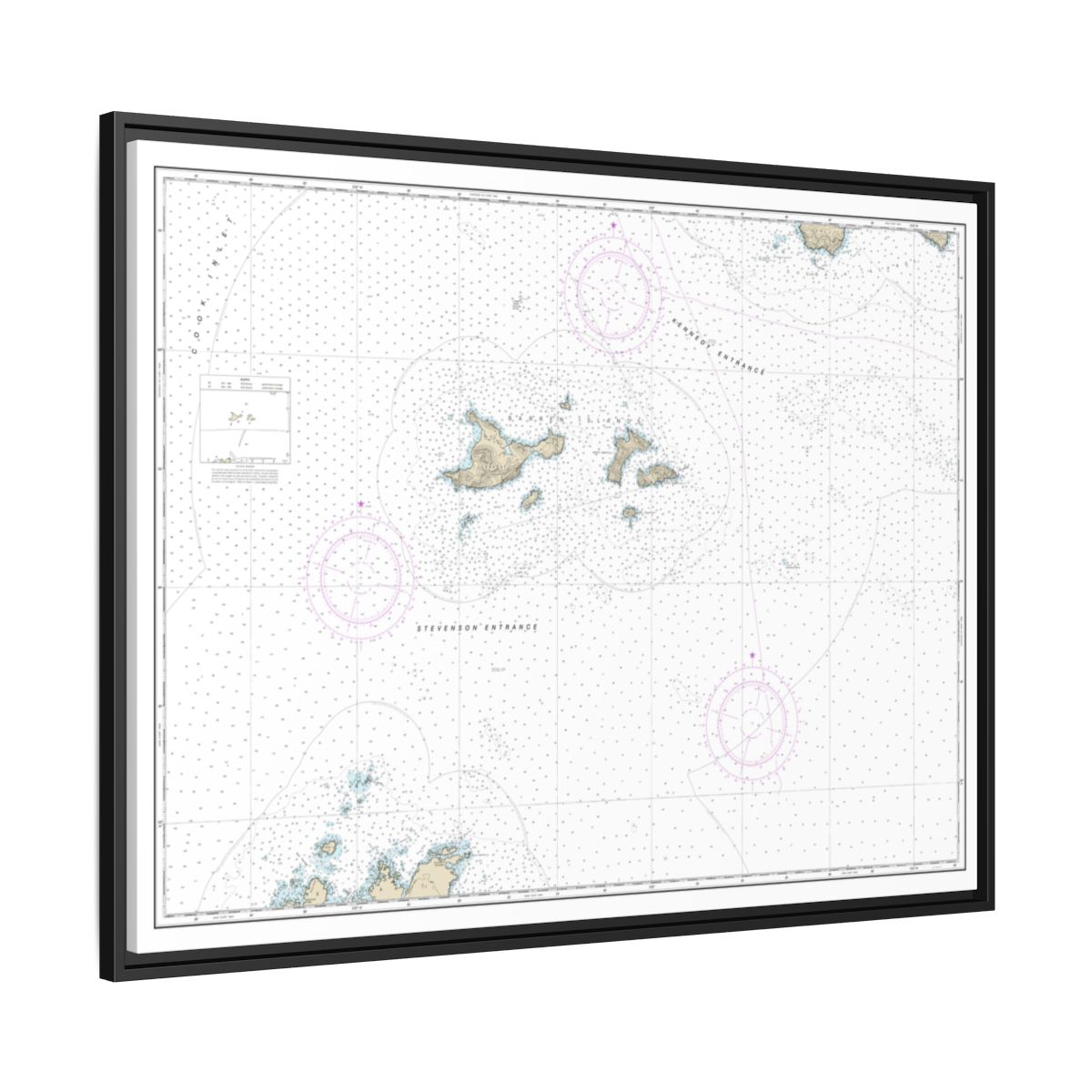 Chart 16606 Barren Islands - NOAA Nautical Chart Floating Frame Canvas | 32" x 24" | 40" x 30" - Black side
