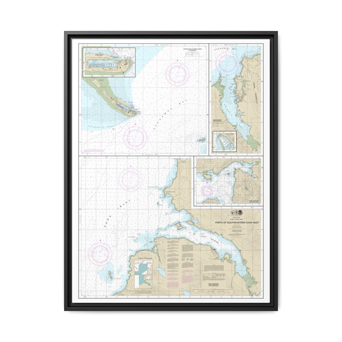 Chart 16646 Ports of Southeastern Cook Inlet Port Chatham;Port Graham;Seldovia Bay;Seldovia Harbor;Approaches to Homer Hbr;Homer Harbor - NOAA Nautical Chart Floating Frame Canvas | 24" x 32" | 30" x 40" - Black front