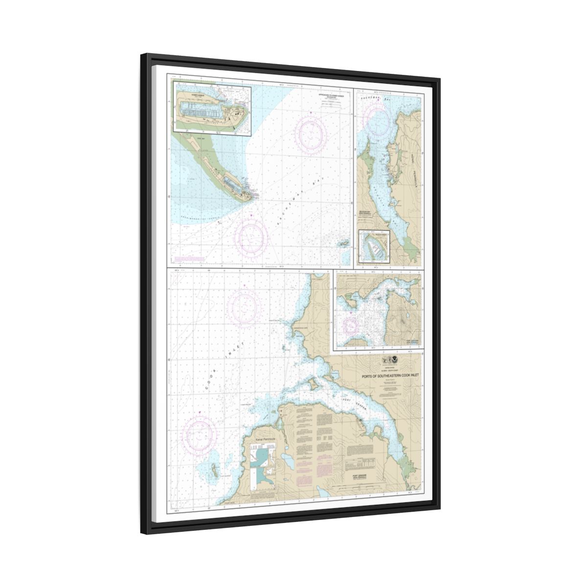 Chart 16646 Ports of Southeastern Cook Inlet Port Chatham;Port Graham;Seldovia Bay;Seldovia Harbor;Approaches to Homer Hbr;Homer Harbor - NOAA Nautical Chart Floating Frame Canvas | 24" x 32" | 30" x 40" - Black side