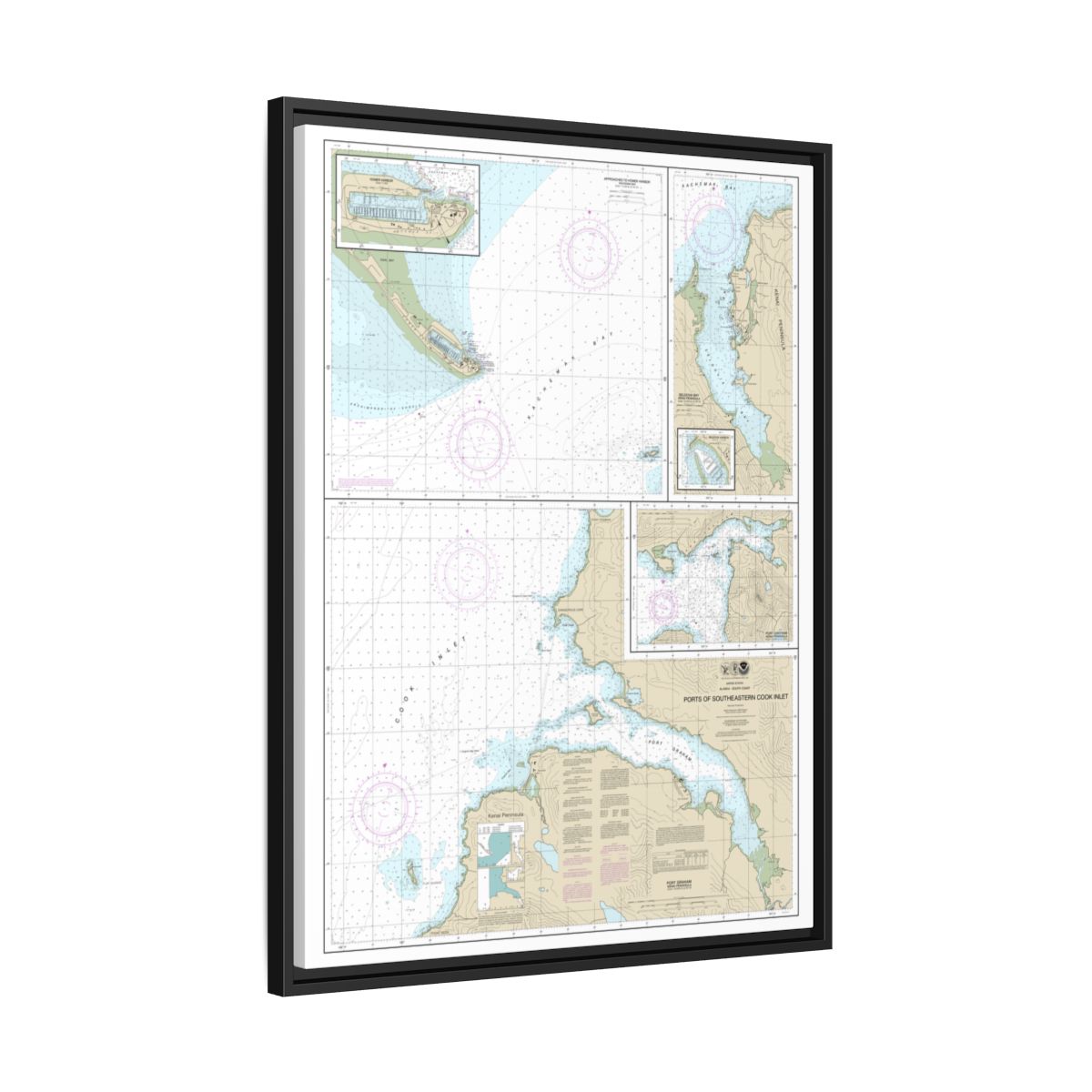 Chart 16646 Ports of Southeastern Cook Inlet Port Chatham;Port Graham;Seldovia Bay;Seldovia Harbor;Approaches to Homer Hbr;Homer Harbor - NOAA Nautical Chart Floating Frame Canvas | 24" x 32" | 30" x 40" - Black side