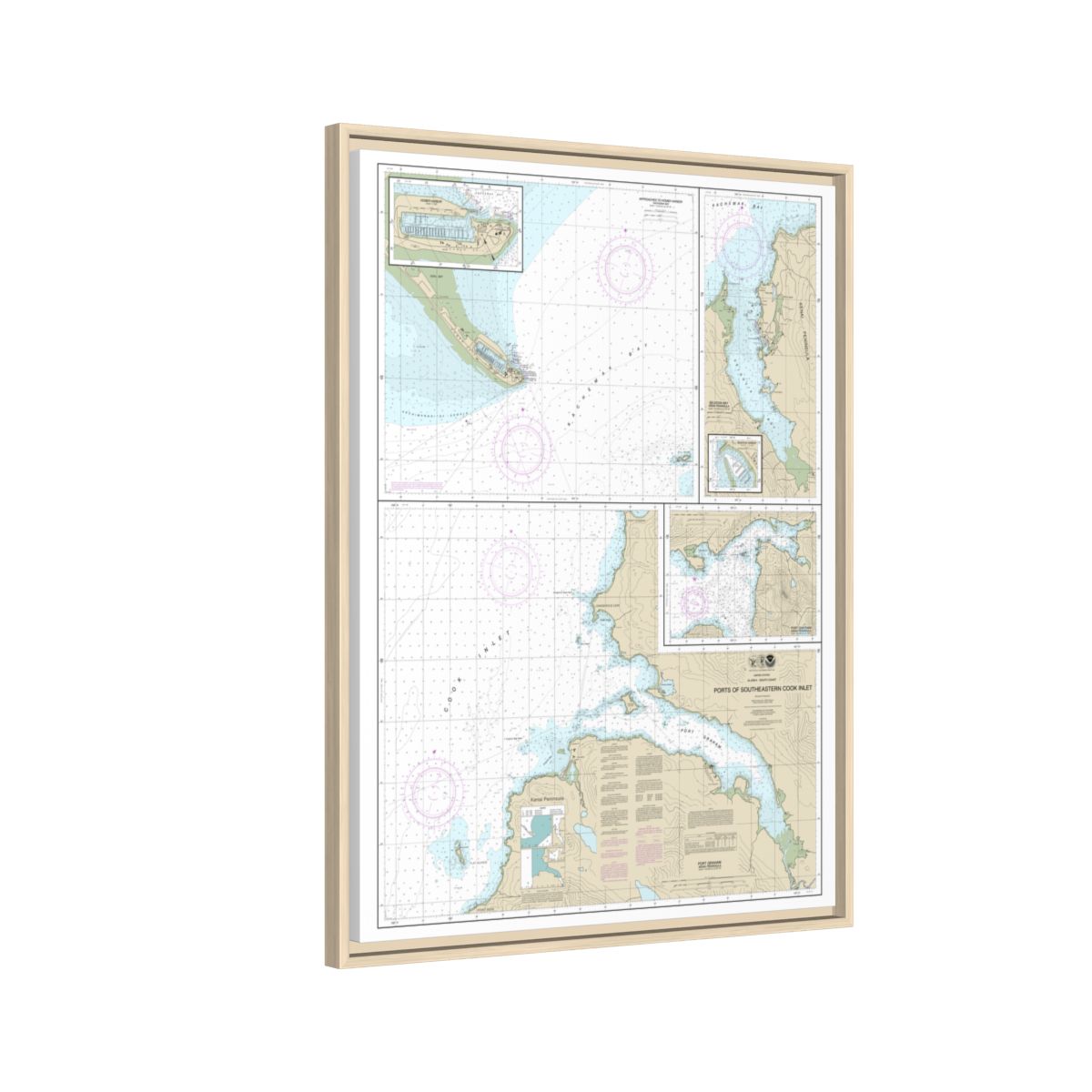 Chart 16646 Ports of Southeastern Cook Inlet Port Chatham;Port Graham;Seldovia Bay;Seldovia Harbor;Approaches to Homer Hbr;Homer Harbor - NOAA Nautical Chart Floating Frame Canvas | 24" x 32" | 30" x 40" - Natural side
