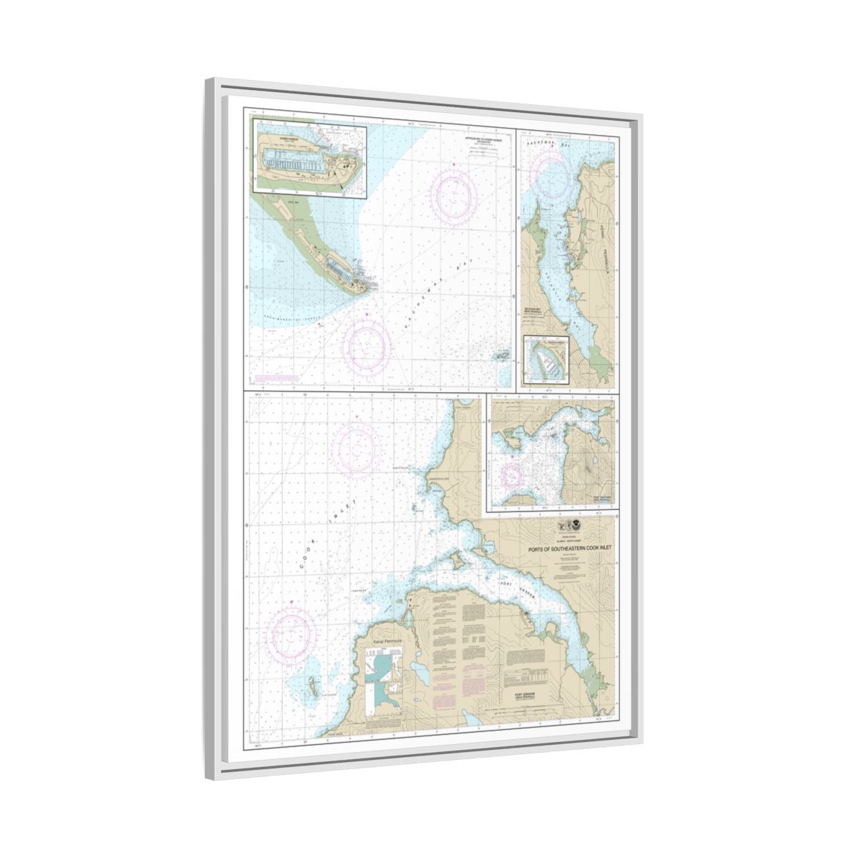 Chart 16646 Ports of Southeastern Cook Inlet Port Chatham;Port Graham;Seldovia Bay;Seldovia Harbor;Approaches to Homer Hbr;Homer Harbor - NOAA Nautical Chart Floating Frame Canvas | 24" x 32" | 30" x 40" - White side