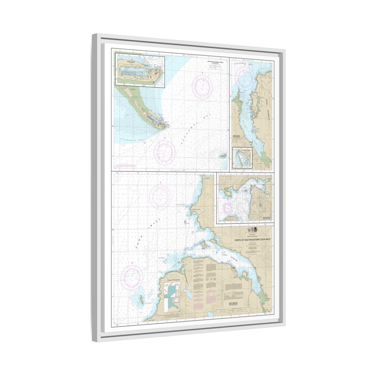 Chart 16646 Ports of Southeastern Cook Inlet Port Chatham;Port Graham;Seldovia Bay;Seldovia Harbor;Approaches to Homer Hbr;Homer Harbor - NOAA Nautical Chart Floating Frame Canvas | 24" x 32" | 30" x 40" - White side