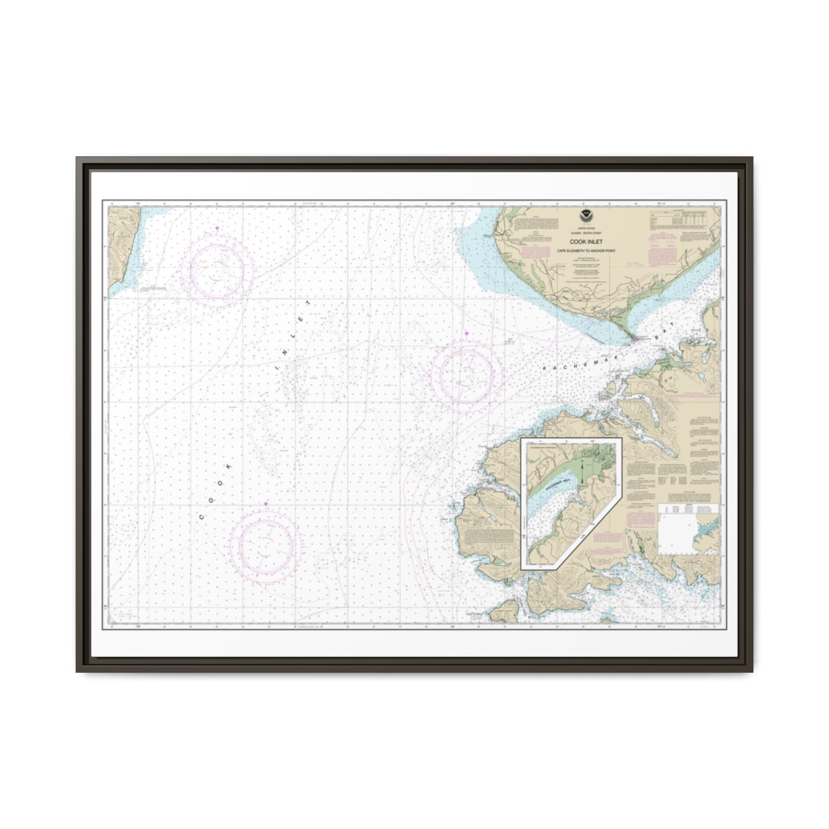 Chart 16647 Cook Inlet-Cape Elizabeth to Anchor Point - NOAA Nautical Chart Floating Frame Canvas | 32" x 24" | 40" x 30" - Espresso front