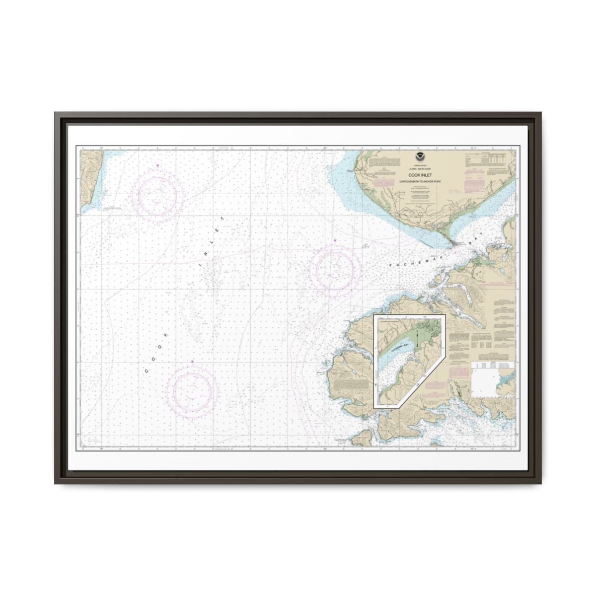 Chart 16647 Cook Inlet-Cape Elizabeth to Anchor Point - NOAA Nautical Chart Floating Frame Canvas | 32" x 24" | 40" x 30" - Espresso front