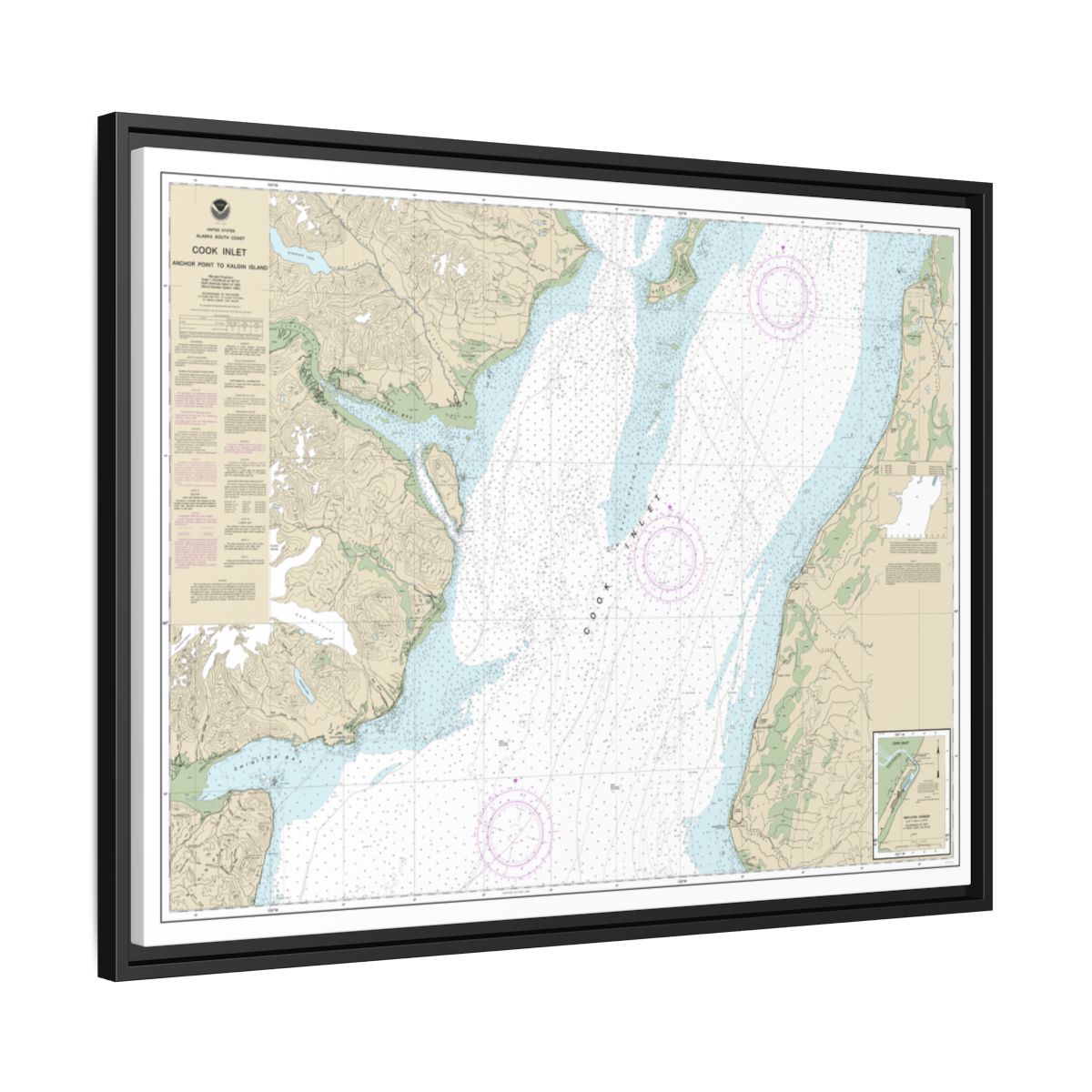 Chart 16661 Cook Inlet-Anchor Point to Kalgin Island;Ninilchik Harbor - NOAA Nautical Chart Floating Frame Canvas | 32" x 24" | 40" x 30" - Black side