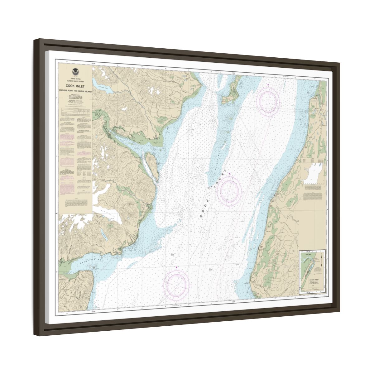 Chart 16661 Cook Inlet-Anchor Point to Kalgin Island;Ninilchik Harbor - NOAA Nautical Chart Floating Frame Canvas | 32" x 24" | 40" x 30" - Espresso side
