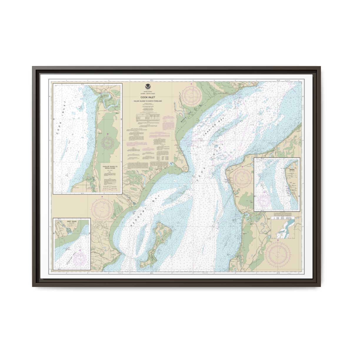 Chart 16662 Cook Inlet-Kalgin Island to North Foreland - NOAA Nautical Chart Floating Frame Canvas | 32" x 24" | 40" x 30" - Espresso front