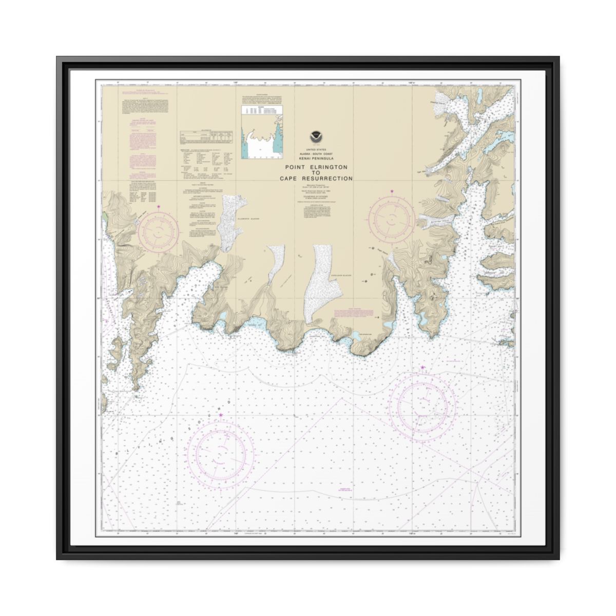 Chart 16683 Point Elrington to Cape Resurrection - NOAA Nautical Chart Floating Frame Canvas | 32" x 32" - Black front