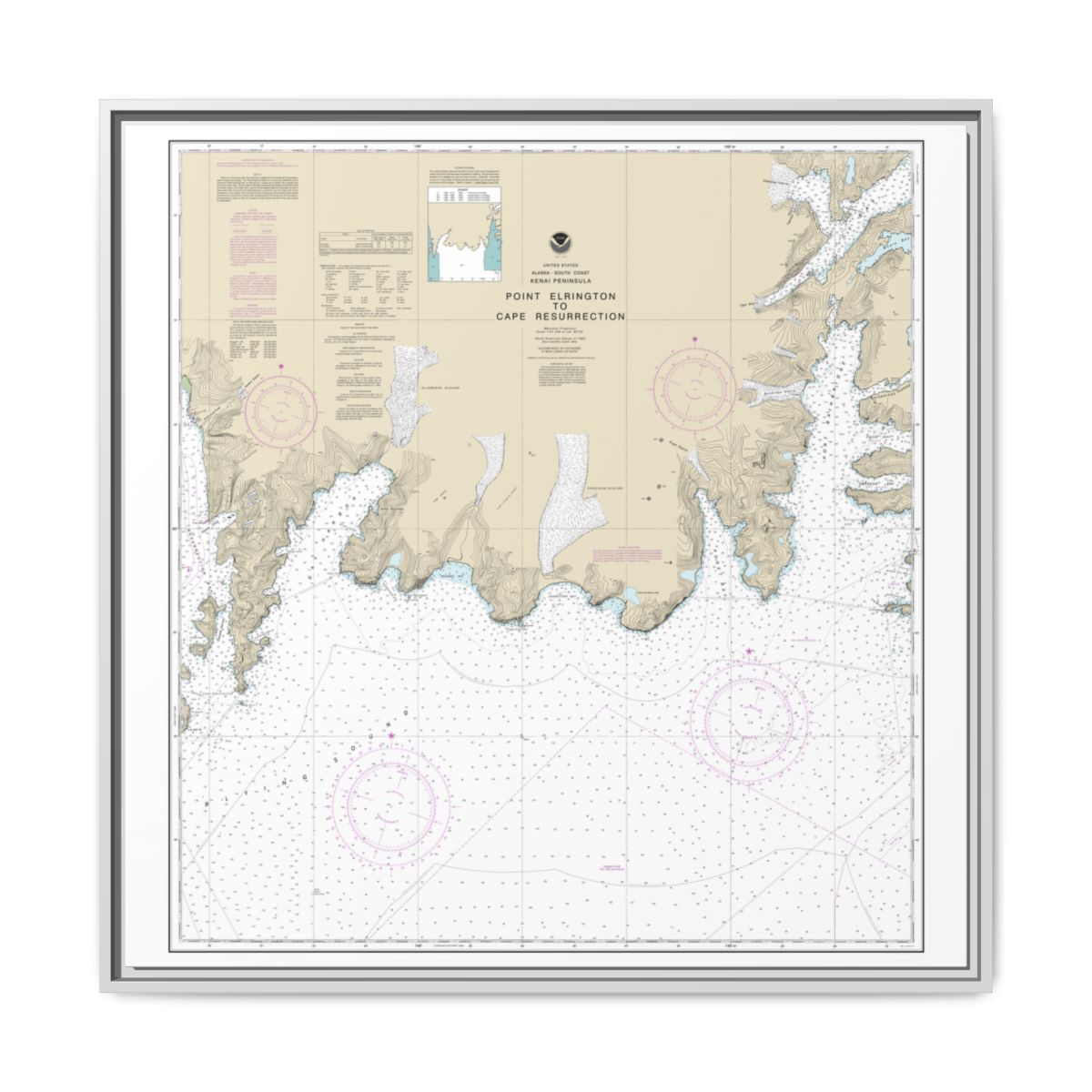 Chart 16683 Point Elrington to Cape Resurrection - NOAA Nautical Chart Floating Frame Canvas | 32" x 32" - White front