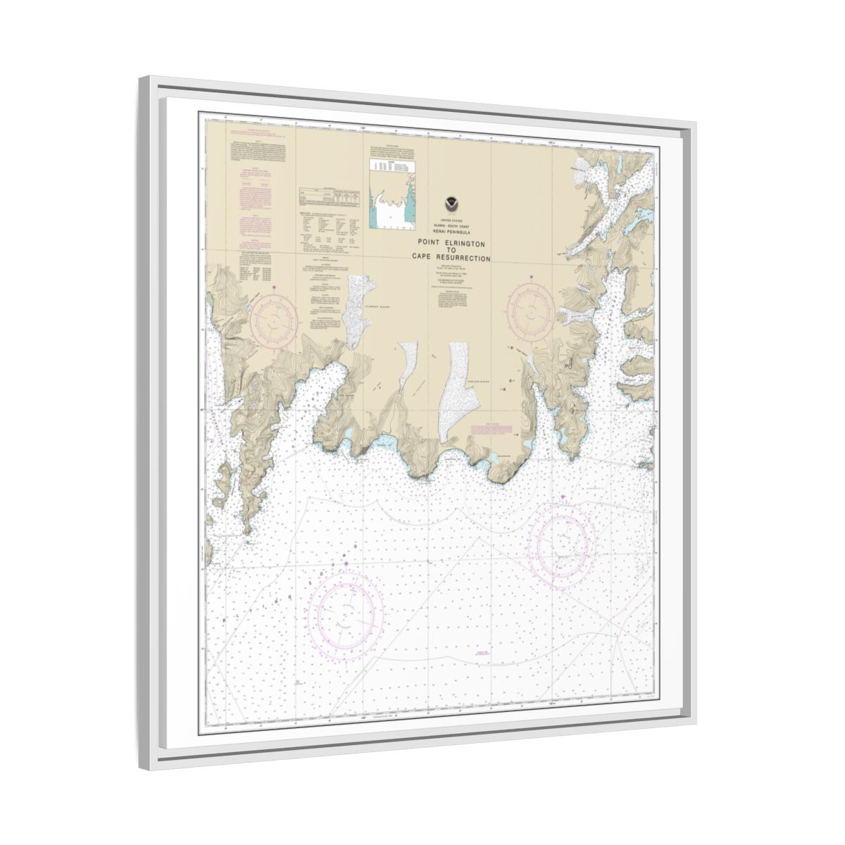 Chart 16683 Point Elrington to Cape Resurrection - NOAA Nautical Chart Floating Frame Canvas | 32" x 32" - White side